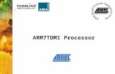 ARM7TDMI Processor