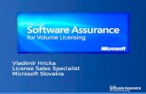 Vladimír Hricka License  Sales  Specialist Microsoft  Slovakia