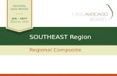 SOUTHEAST Region