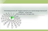 Инновационный территориально-производственный «НАНО - кластер»  Республики Татарстан