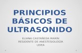 PRINCIPIOS BÁSICOS DE ULTRASONIDO