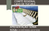 COMITÊ REGIONAL LAGO DE TUCURUÍ