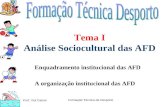 Tema I Análise Sociocultural das AFD