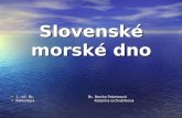 Slovenské morské dno
