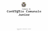 Consiglio Comunale Junior