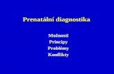Prenatální diagnostika