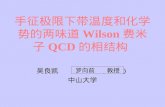 手征极限下带温度和化学势的两味道 Wilson 费米子 QCD 的相结构
