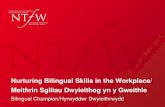 Nurturing Bilingual Skills in the Workplace/ Meithrin Sgiliau Dwyieithog yn y Gweithle