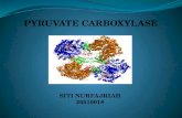 PYRUVATE CARBOXYLASE