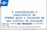A contribuição e experiência do SEBRAE para a formação de uma cultura de inovação no Brasil