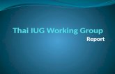 Thai IUG Working Group