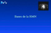 Bases de la RMN