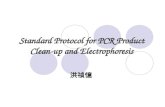 Standard Protocol for PCR Product Clean-up and Electrophoresis
