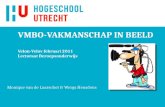 VMBO-VAKMANSCHAP IN BEELD Velon-Velov februari 2011 Lectoraat Beroepsonderwijs