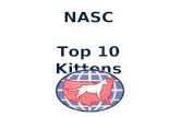 NASC Top 10 Kittens