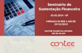 Seminário de Sustentação  Financeira 05.02.2014 - SP