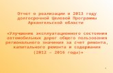 Отчет о реализации в  2013  году долгосрочной Целевой Программы Архангельской области