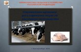 Нормативно-правовое  регулирование  отрасли  молочного  скотоводства
