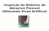 Inspeção de  Bobines  de Abrasivo Flexível Utilizando Visão Artificial