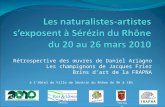 Les naturalistes-artistes s’exposent à Sérézin du Rhône du 20 au 26 mars 2010