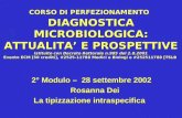 2° Modulo –  28 settembre 2002    Rosanna Dei La tipizzazione intraspecifica
