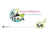 Social hållbarhet       -processägarskapet