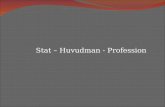 Stat – Huvudman - Profession