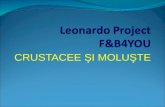 Leonardo Project F&B4YOU