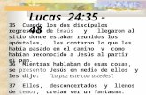 Lucas 24:35  -  48