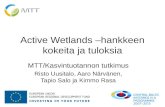 Active Wetlands –hankkeen kokeita ja tuloksia