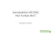Introduktion  till DNS Hur funkar det ?