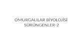 OMURGALILAR BİYOLOJİSİ  SÜRÜNGENLER-2