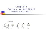 Chapter 3 Entropy : An Additional Balance Equation