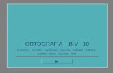 ORTOGRAFÍA    B-V   10