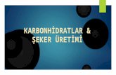 KARBONHİDRATLAR & ŞEKER ÜRETİMİ