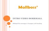 Intro video borrmall