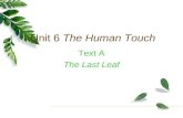 Unit 6  The Human Touch