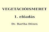 VEGETÁCIÓISMERET 1. előadás Dr. Bartha Dénes