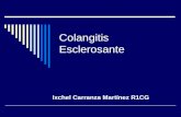 Colangitis Esclerosante