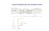 CARACTERIZAÇÃO DE FILMES FINOS