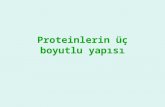 Proteinlerin üç boyutlu yapısı