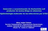 Detección y caracterización de  Escherichia coli  productor de toxina Shiga en alimentos