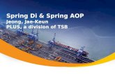 Spring Di & Spring AOP Jeong, Jae-Keun PLUS, a division of TSB