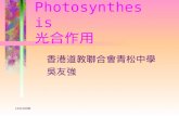 Photosynthesis 光合作用