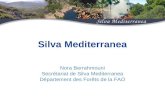 Silva Mediterranea