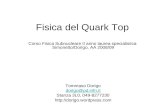 Fisica del Quark Top