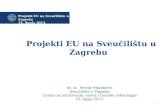 Projekti EU na Sveučilištu u Zagrebu  14. lipnja 2013.