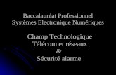 Baccalauréat Professionnel Systèmes Electronique Numériques