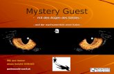 Mystery Guest mit den Augen des Gastes – - und der wachsammkeit einer Katze -