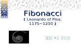 Fibonacci (  Leonardo of Pisa. 1175~1250  )